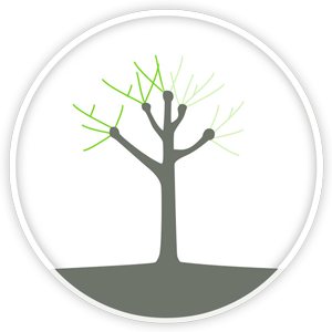 Tree Pruning Crown Reduction